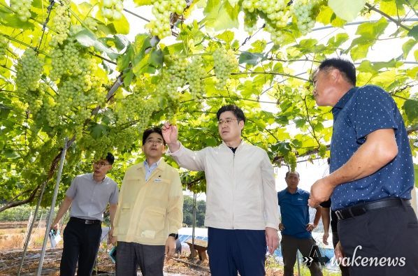 오병권 부지사, 안산 포도 농가 찾아 폭염 대응 상황 점검