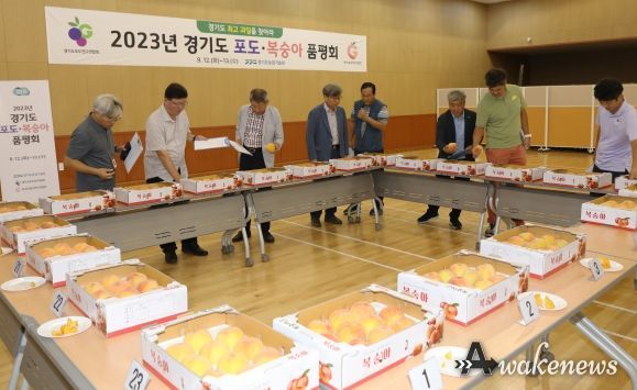경기도 포도복숭아 품평회