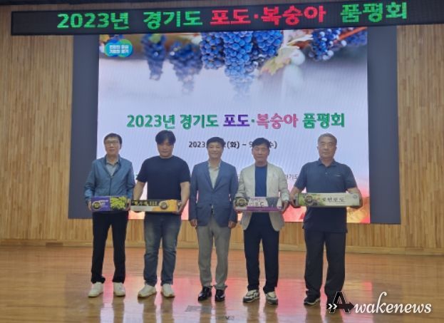 경기도 포도 품평회 ‘캠벨얼리’ 부문 대상 수상