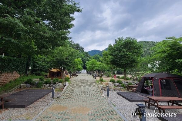 양주시 미술관 옆 캠핑장, 지역 주민 우선 예약제와 할인율 확대 시행