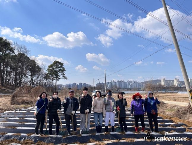 수원시 권선구 구운동, 새마을3단체 사랑의 감자심기 활동 진행
