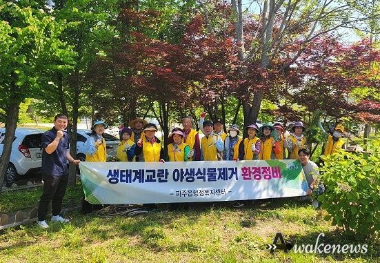 파주시 파주읍 노인자원봉사단 '생태계교란 야생식물 제거'