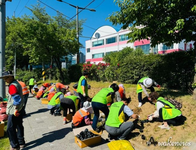 광주시지속가능발전협의회, 시민과 함께하는 청석공원 꽃밭 가꾸기