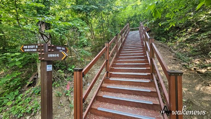 용인특례시는 처인구 포곡읍 신원 저수지에서 시작하는 선장산 숲길 0.5km 구간 숲길을 신설했다