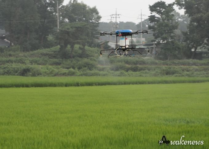 이천쌀 “알찬미”병해충 적기 방제 당부