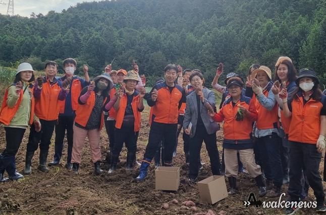 오산시 대원2동 통장협의회, 사랑의 고구마 수확