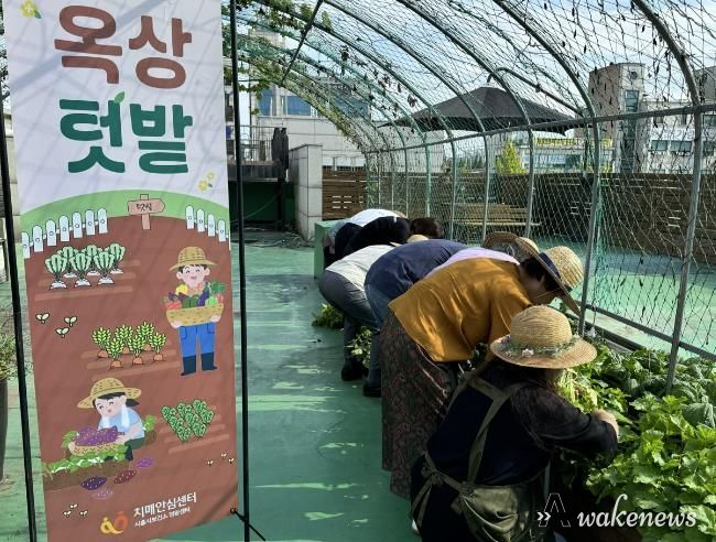 시흥시 정왕치매안심센터, 기억 키움 쉼터 이용자들과 옥상 텃밭 가꾸기 활동 진행