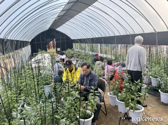 동두천시, 소요산으로 국화와 다육이 보러 오세요