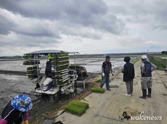 평택시, 기후변화 대응 벼 적기 모내기 실천 확산