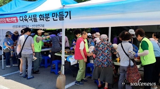 선인장페스티벌