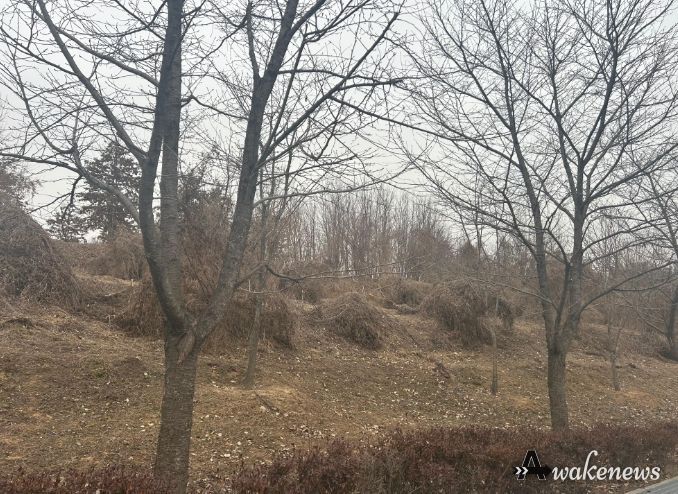 이천시, 2026년 도시숲리모델링사업 선정