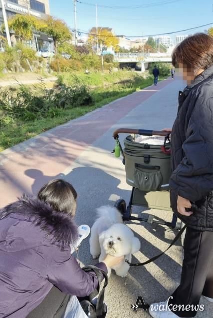 수원시 권선구, 동물등록 집중단속 및 공공장소 지도·단속 실시