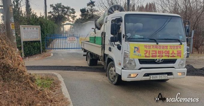 안성시 산란계농장 고병원성AI 의심축 발생