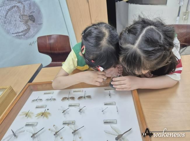 잠자리 도감 탐구