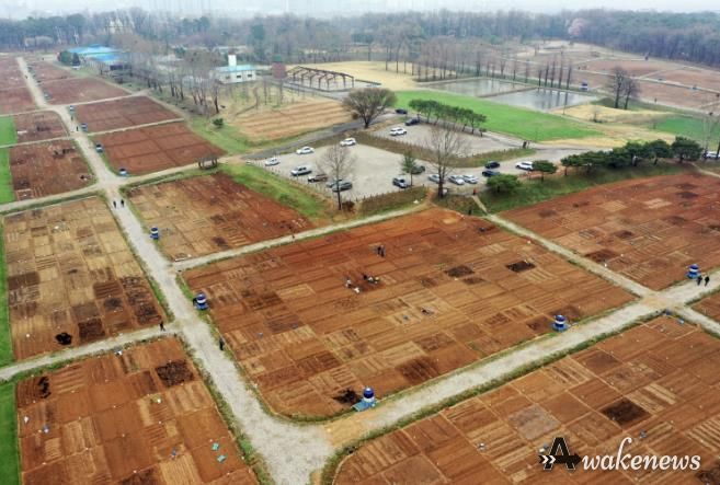 탑동 시민농장 텃밭