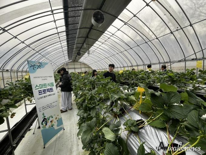 고양교육지원청, 2026 공유학교 학점인정형 '스마트식물프로젝트' 파일럿 운영 시작