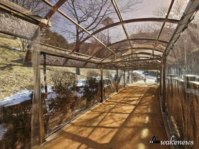 병목안시민공원 맨발산책길에 설치한 지붕 캐노피와 방한 비닐막 사진
