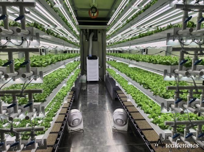 테이너형 수직농장 내부