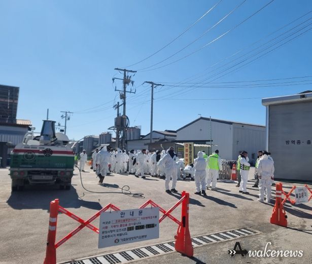 포천시, 고병원성 조류인플루엔자(AI) 발생…긴급 방역조치 실시
