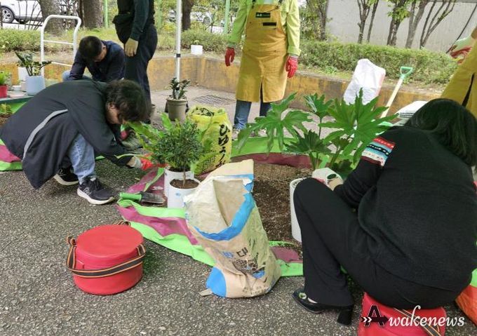 ‘찾아가는 새빛 정원 상담실’에서 시민들이 분갈이 교육을 받고 있다.