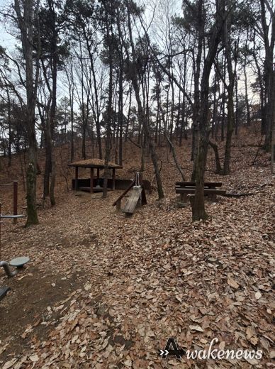 시설이 노후화된 수지구 광교산 숲길 전경