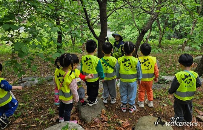 용인특례시가 상반기 유아숲체험과 찾아가는 숲해설 참여기관을 모집한다.