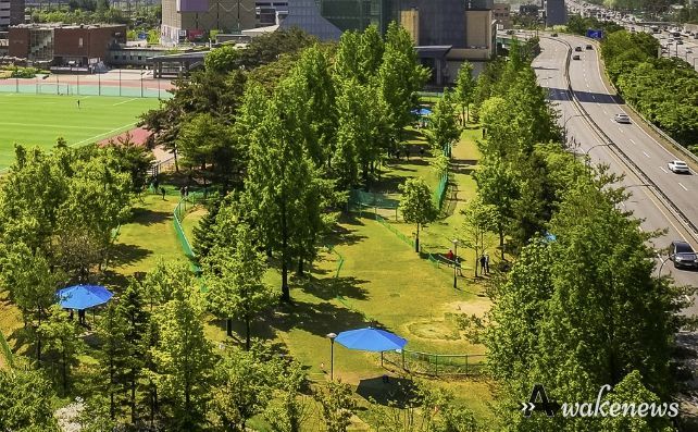 현재 운영 중인 수지구 용인아르피아 파크골프장 전경