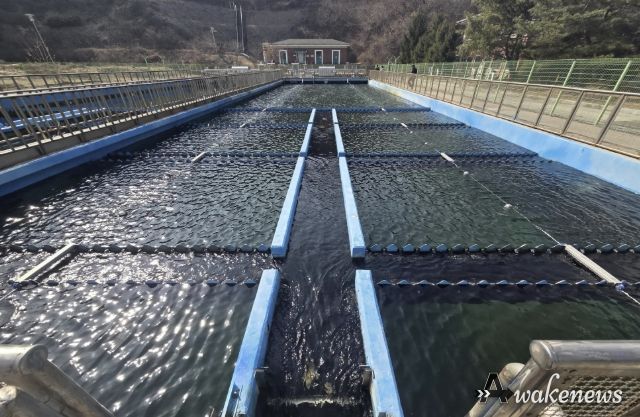 가평군, 정수장 유충 차단 ‘파동장치’ 도입