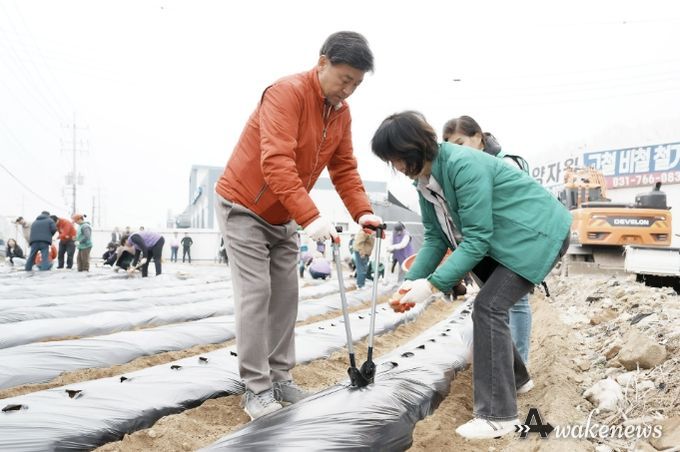 광주시 능평동 새마을지도자협의회·부녀회, 취약계층 위한 감자 심기 실시