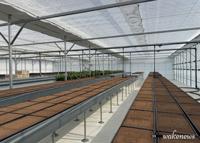 고양시, 고품질 선인장 육성 목적 ‘접목선인장 무병종묘장’ 조성