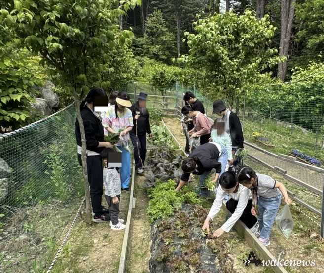 가평군 ‘숲의 약속’, 가족 힐링캠프 선착순 모집