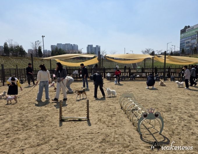 평택시 동삭동 '슬기로운 펫티켓 생활 및 동행' 프로그램 추진으로 반려 문화 인식 제고 기대