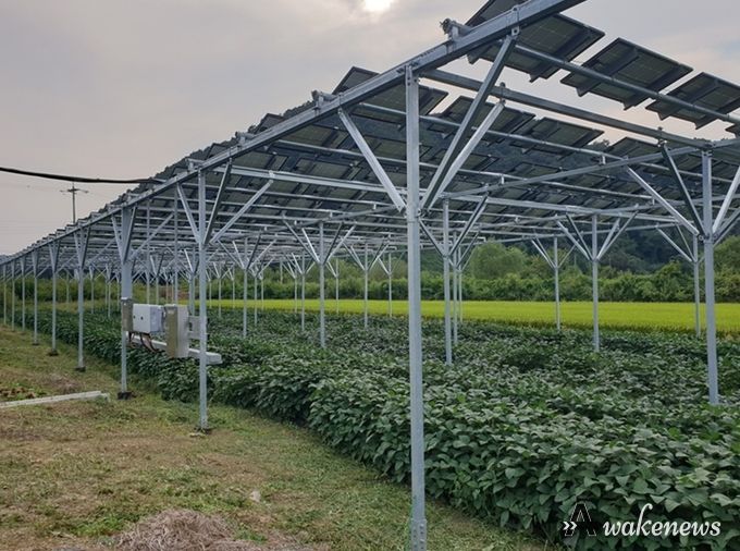 파평면 덕천리 스마트팜 영농형태양광 시설