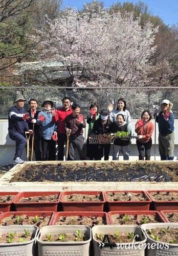 광명시 광명5동 지역사회보장협의체는 지난 8일 ‘너부대 옥상 텃밭’에서 위원과 동 직원 10여 명이 참여한 가운데 상추와 고추 모종을 심었다.