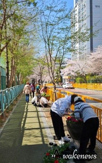 고양시 행신3동, 초화류 식재로 아름다운 꽃길 조성