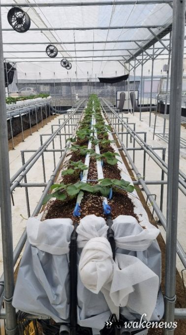 양주시농업기술센터, 농가에 에너지절감형 히트펌프 보급