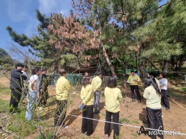 시흥시 첫 소나무재선충병 발생